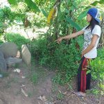 Peti Misterius di Pekarangan Warga, Tidak Ada Yang Berani Buka balitoday